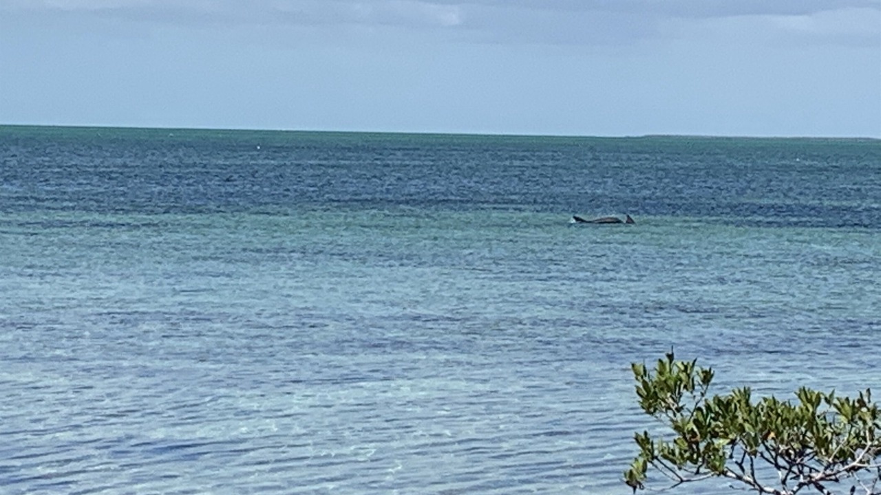 Photo of Others in Islamorada