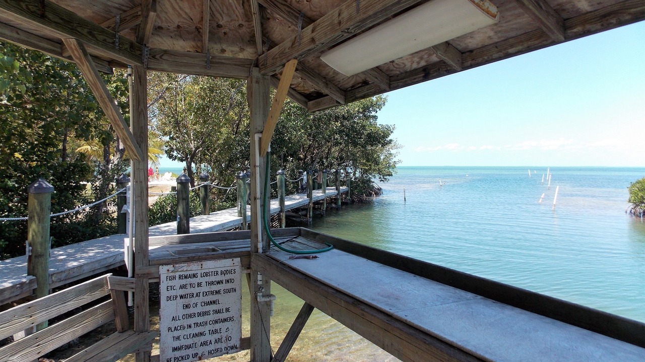 Photo of Others in Islamorada