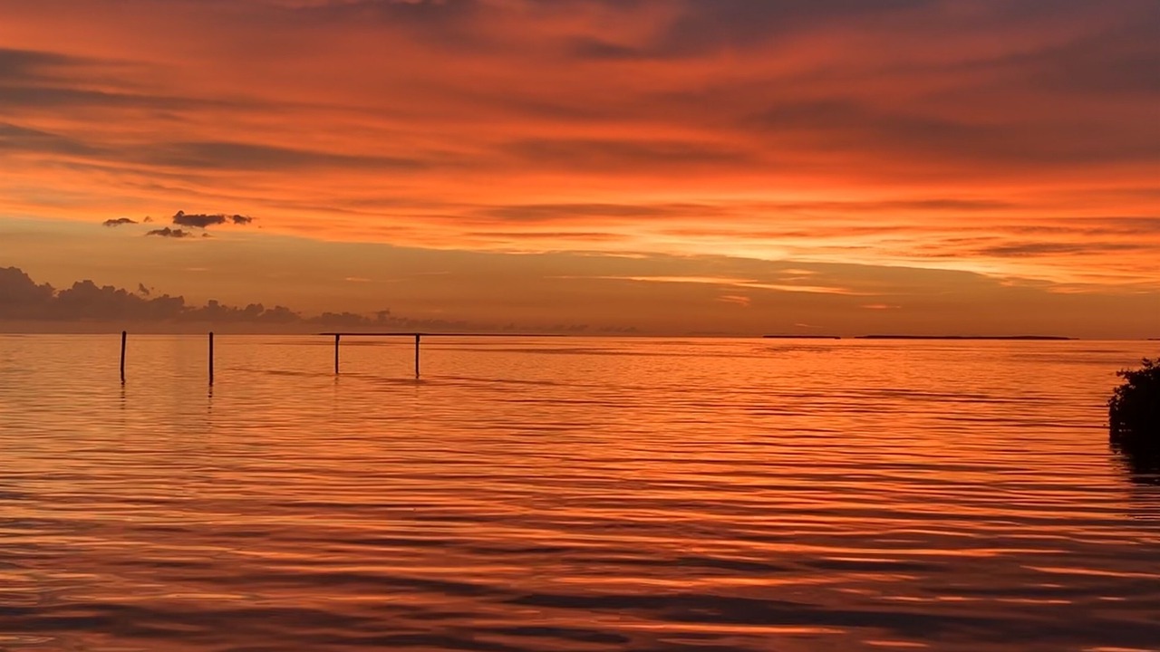 Photo of Others in Islamorada