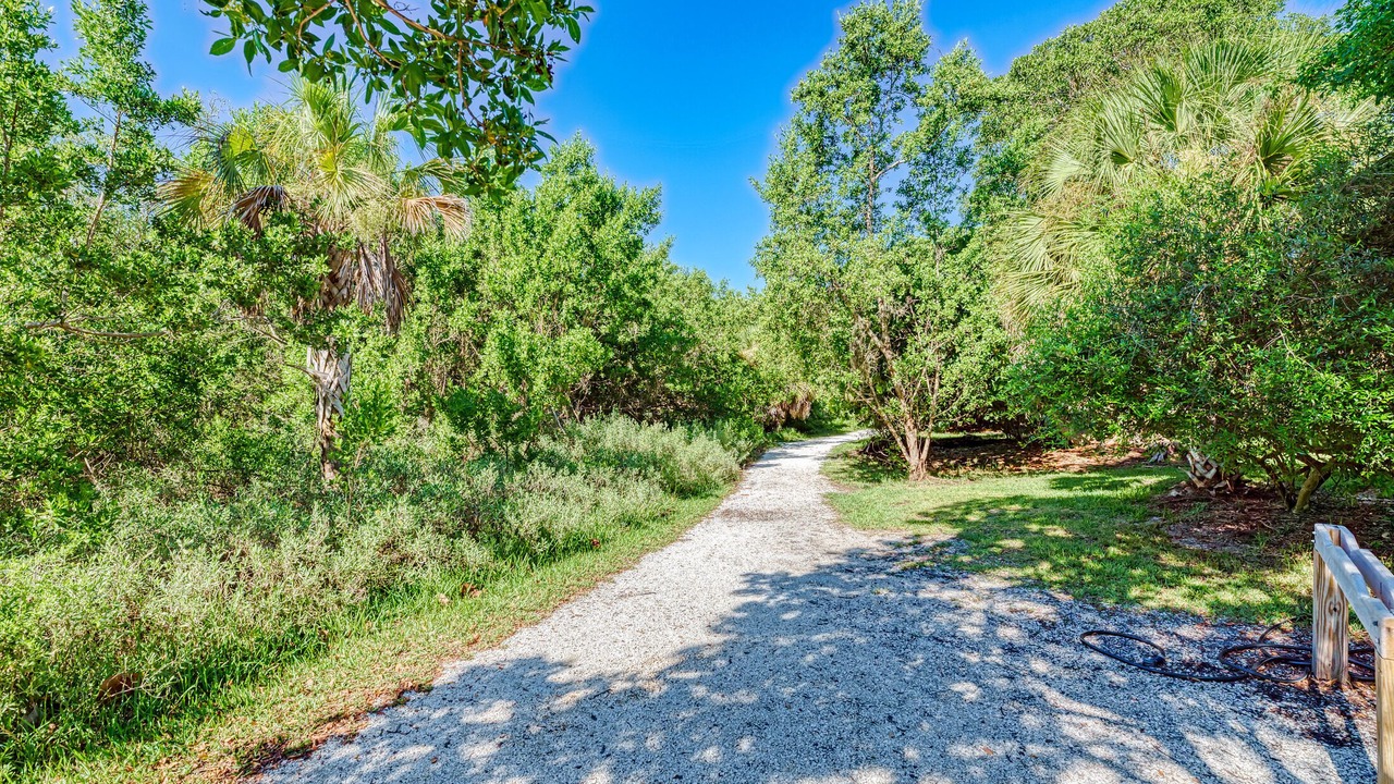 Photo of Outdoor in Sarasota