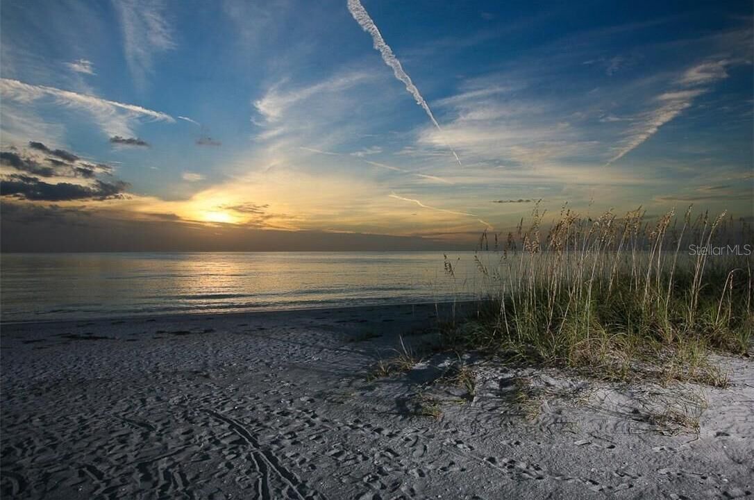 Photo of Others in Sarasota