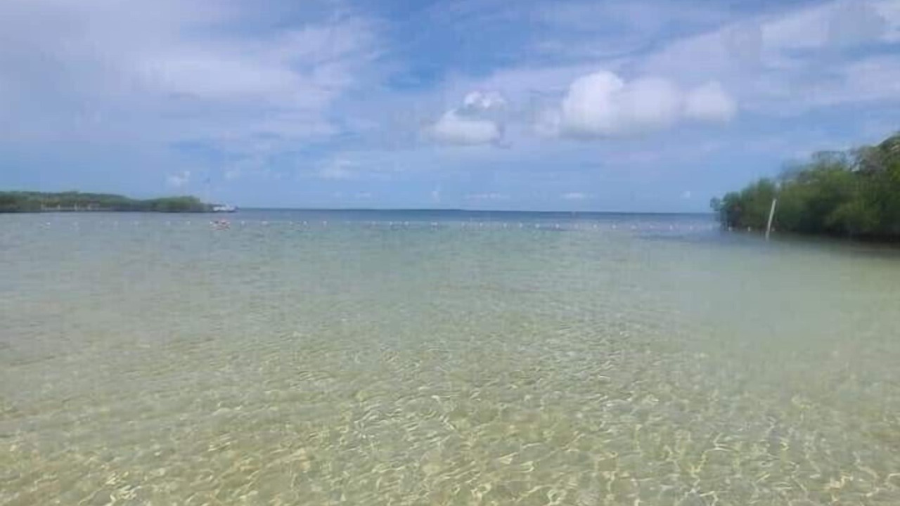 Photo of Others in Cross Key Waterways
