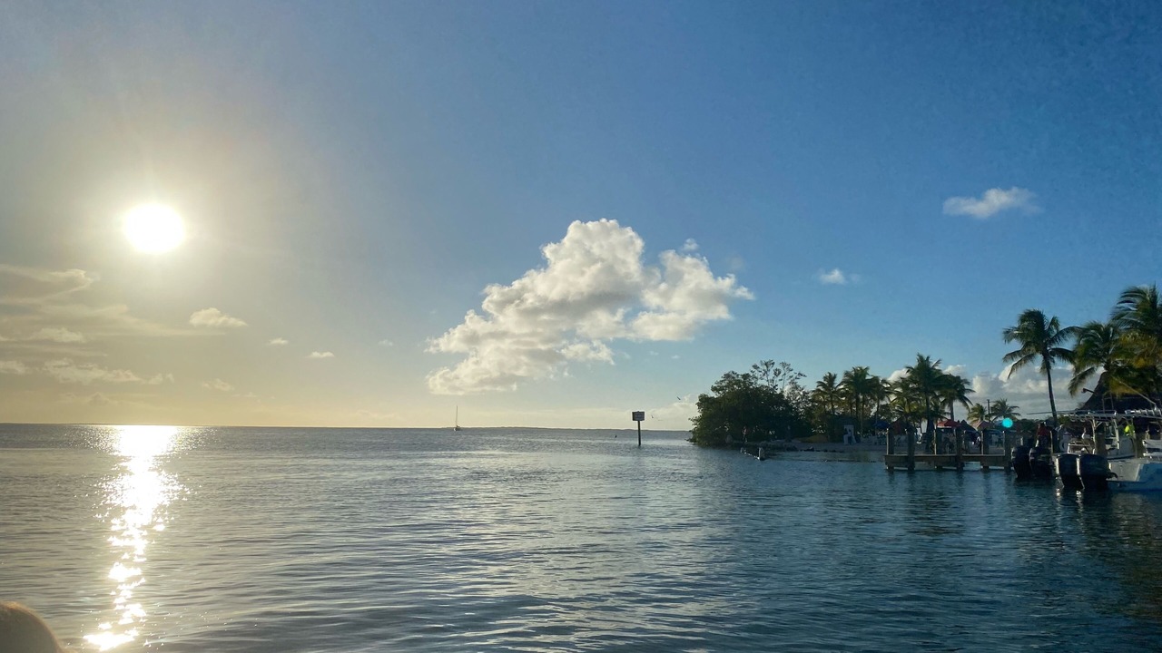 Photo of Others in Cross Key Waterways