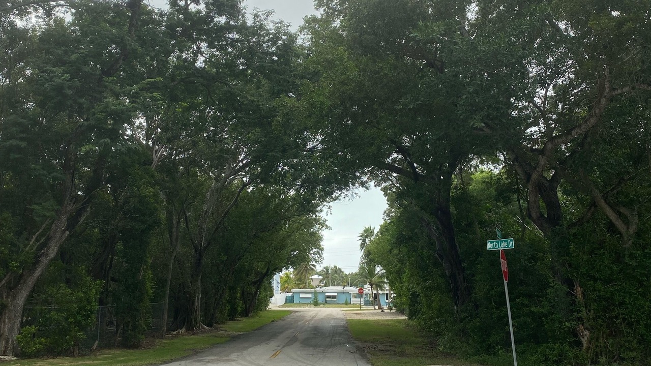 Photo of Others in Cross Key Waterways