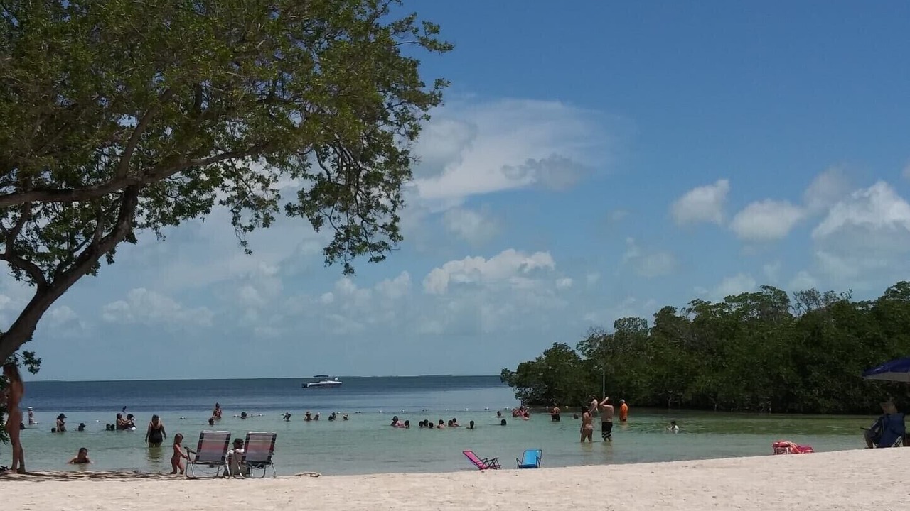 Photo of Others in Cross Key Waterways