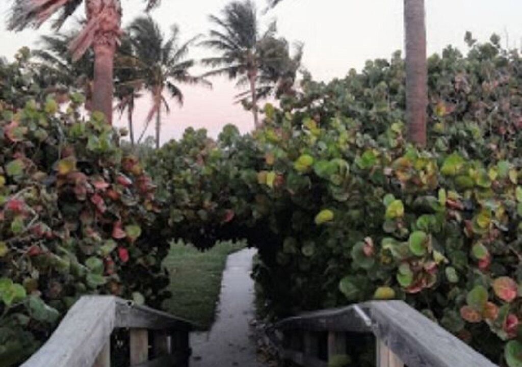 Photo of Outdoor in Hutchinson Island South