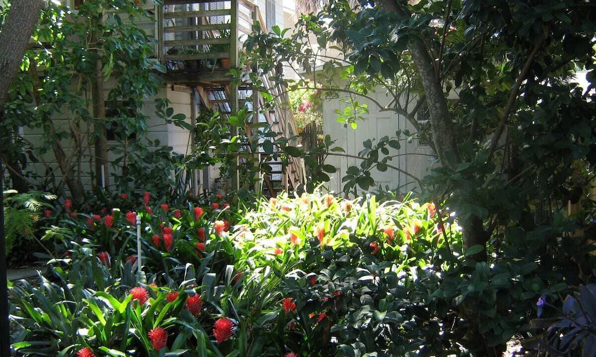 Photo of Outdoor in St. Petersburg
