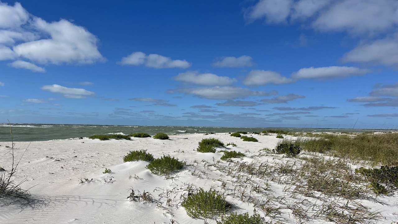 Photo of Others in North Captiva