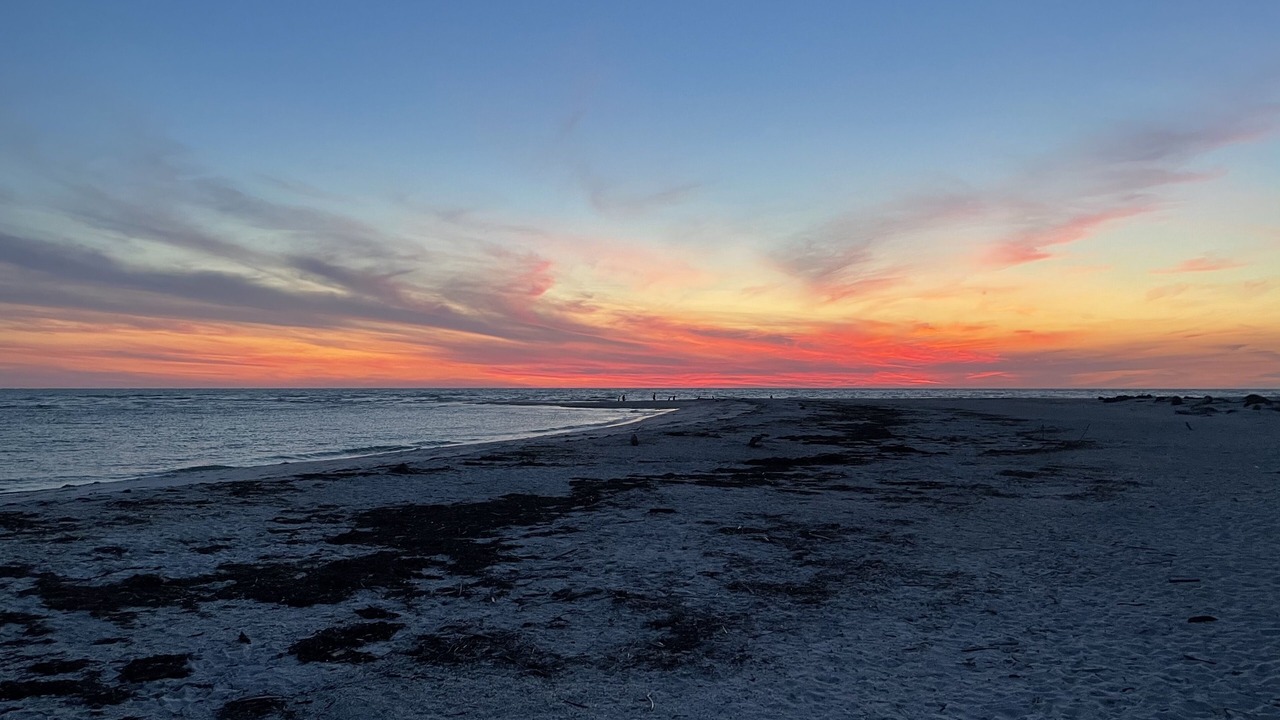 Photo of Others in North Captiva
