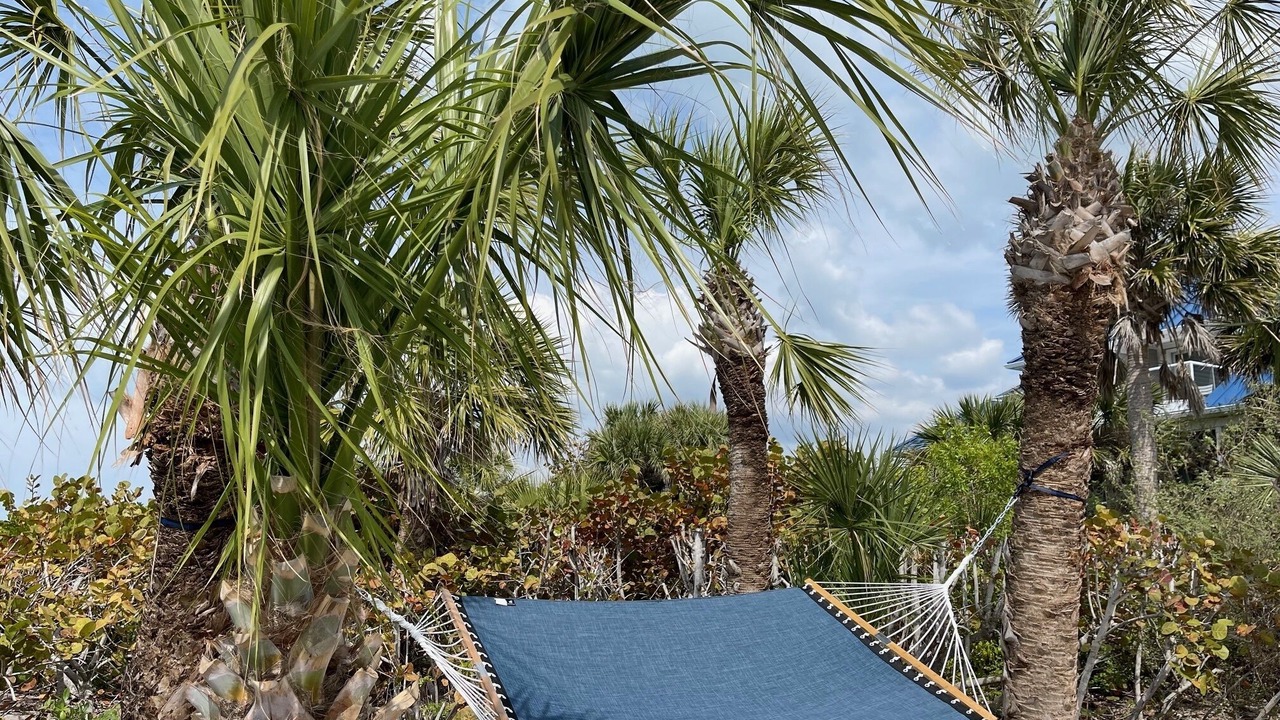 Photo of Outdoor in North Captiva