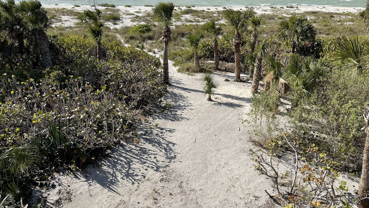 Photo of Others in North Captiva