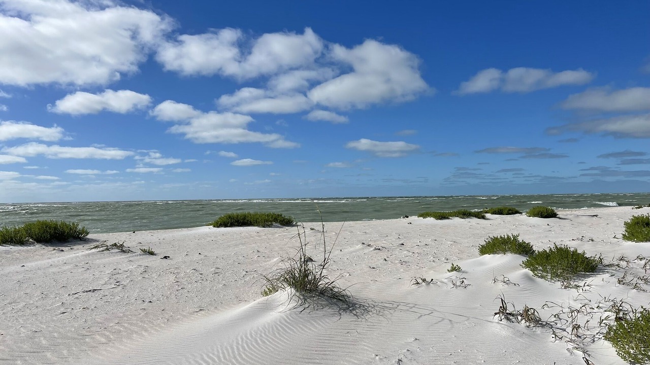 Photo of Others in North Captiva