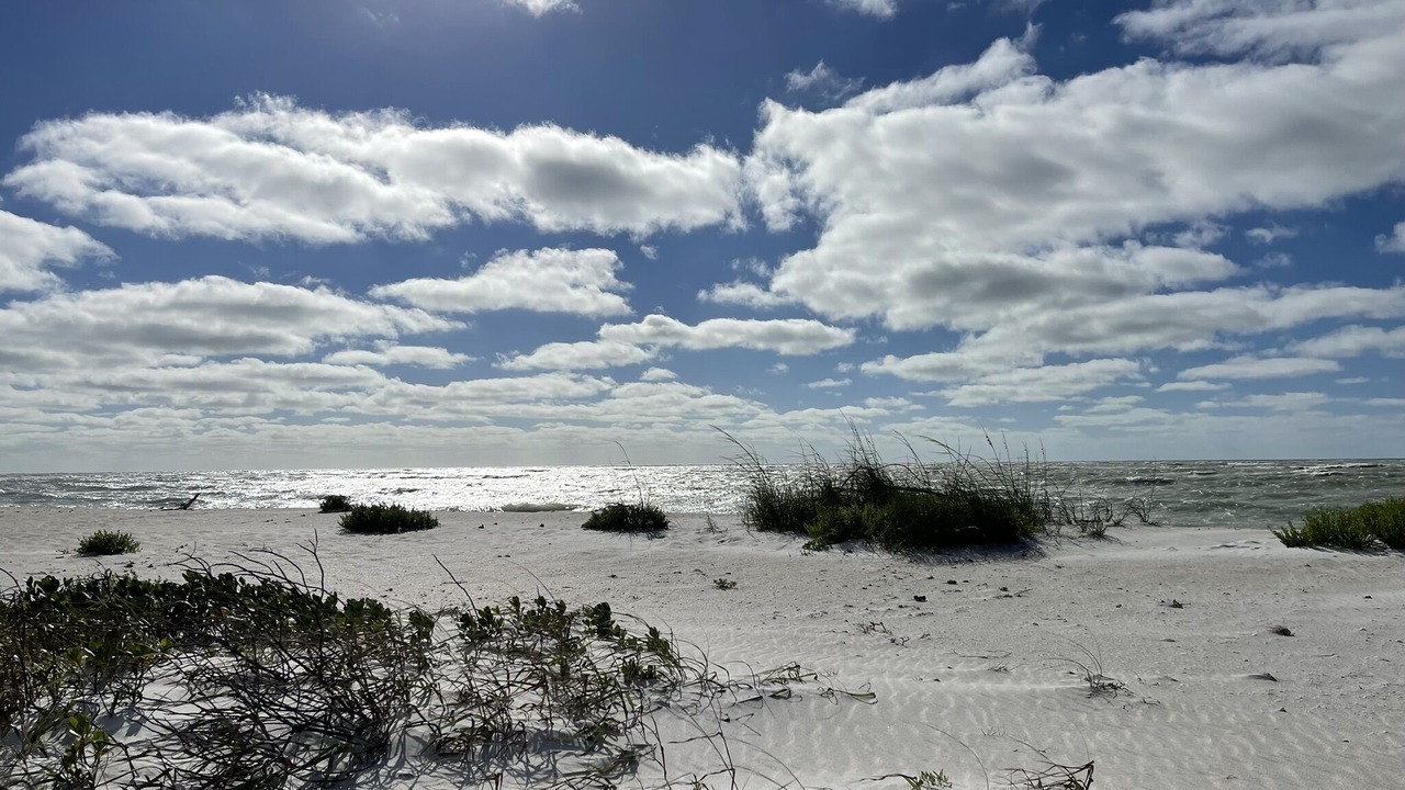 Photo of Others in North Captiva