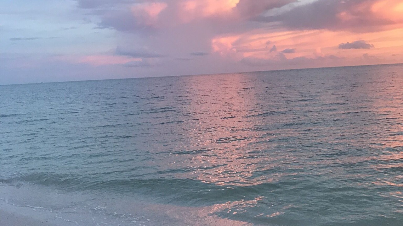 Photo of Others in North Captiva