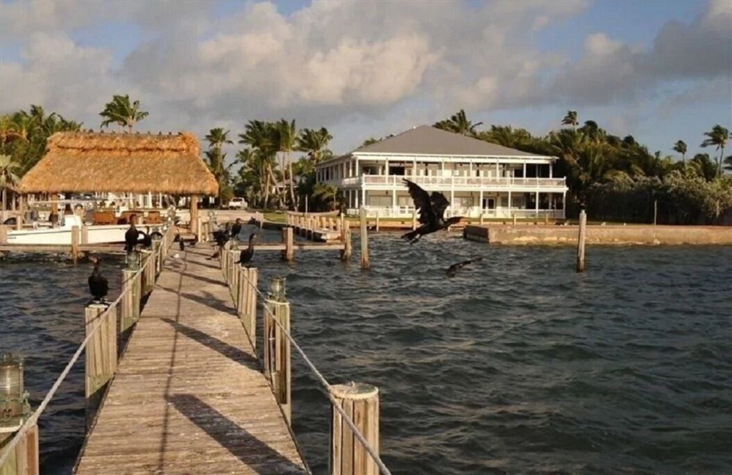 Photo of Others in Islamorada