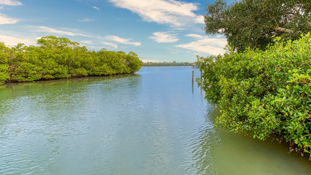 Photo of Others in Captiva