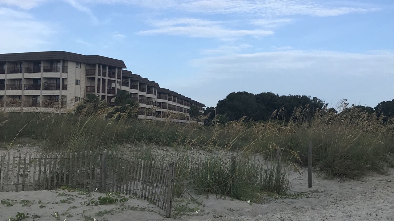 Photo of Others in Folly Field