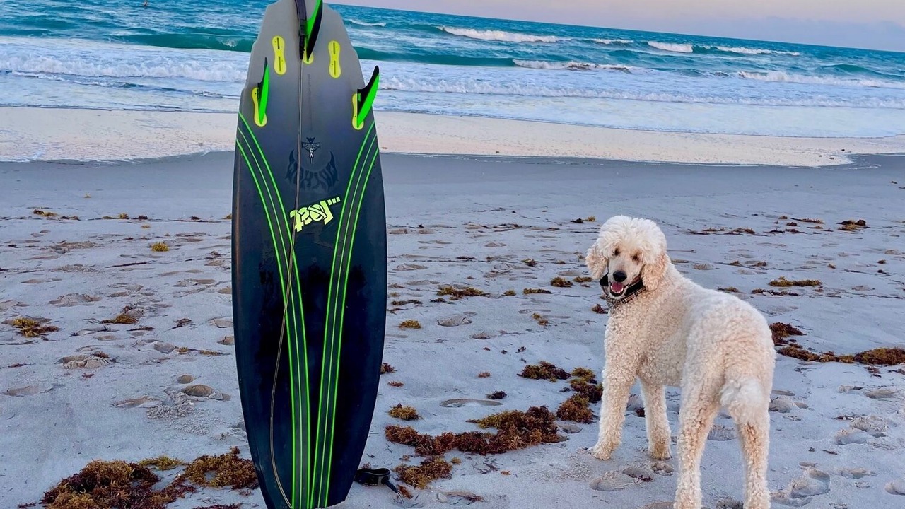 Photo of Others in Indian Harbour Beach