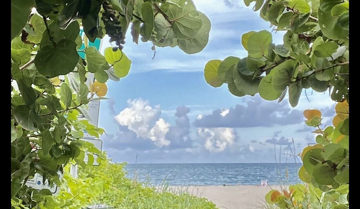 Photo of Others in Vero Beach