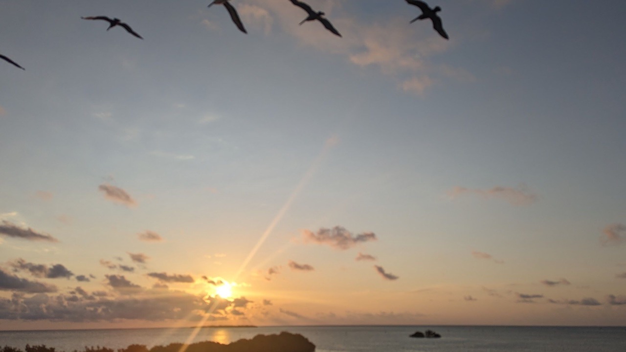 Photo of Others in Tavernier