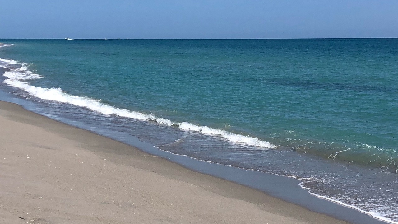 Photo of Others in Vero Beach