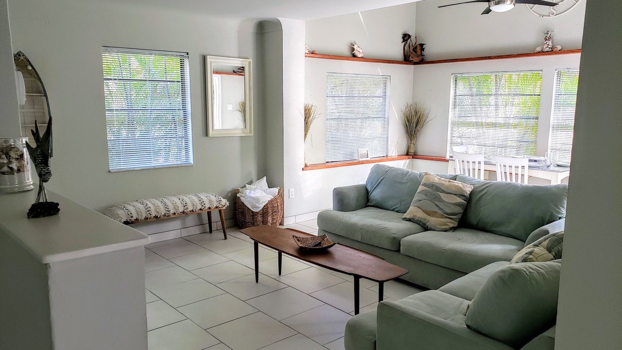 Photo of Livingroom in South Pinellas Community Council