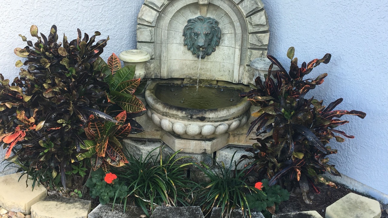 Photo of Outdoor in Palm Bay