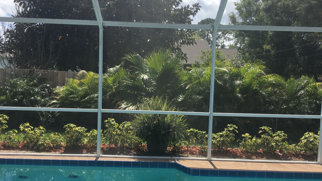 Photo of Outdoor in Palm Bay
