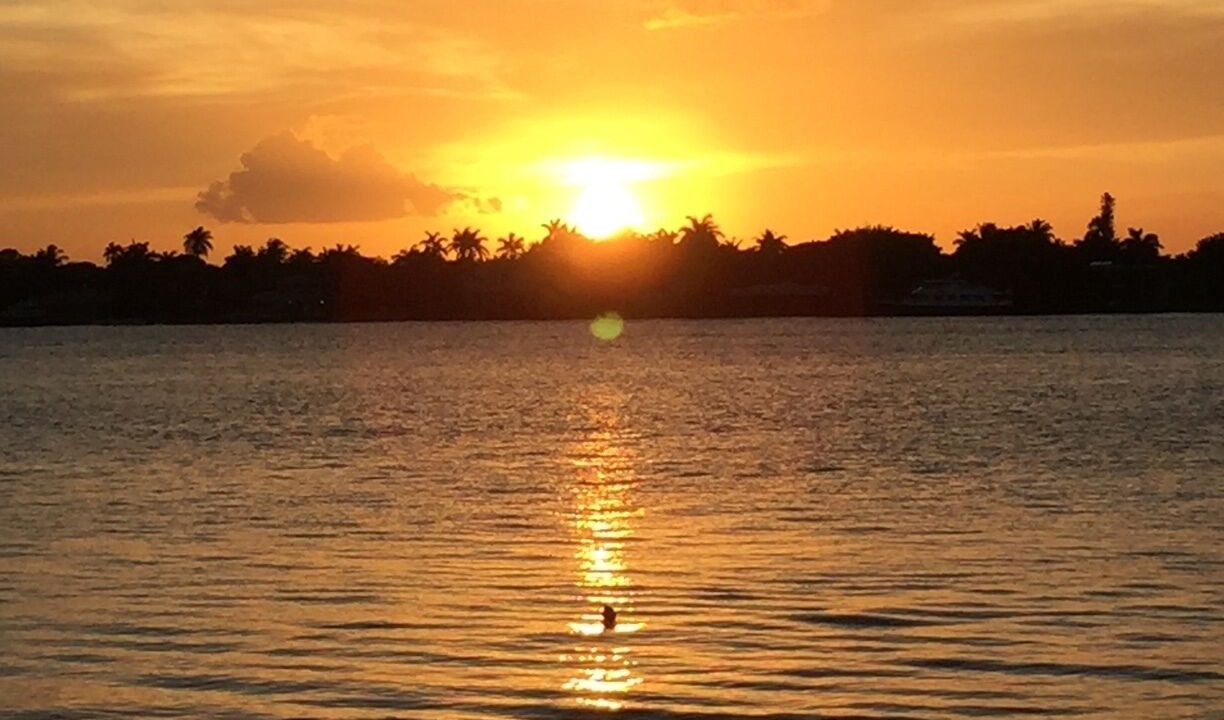 Photo of Others in West Palm Beach