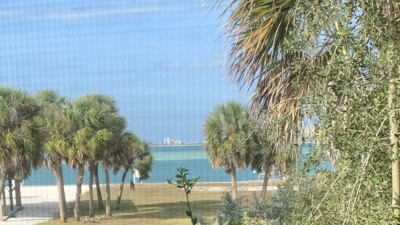 Photo of Others in Siesta Key