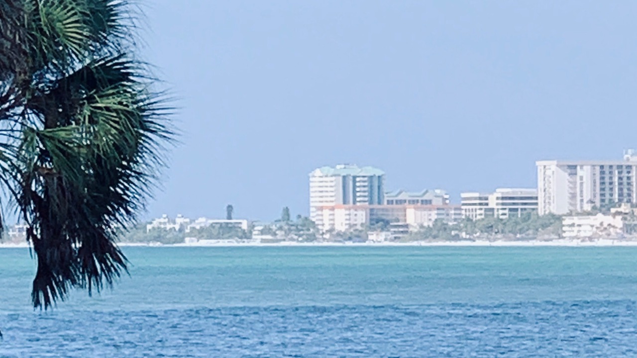 Photo of Others in Siesta Key