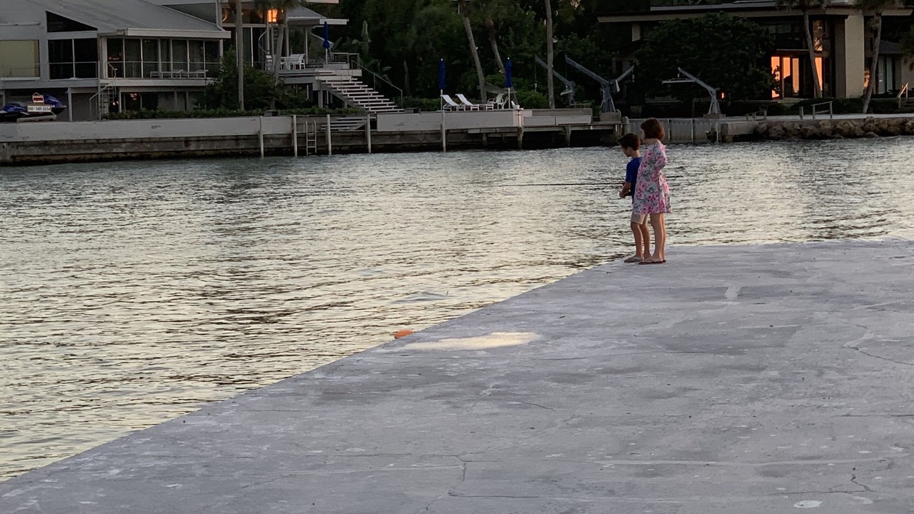 Photo of Others in Siesta Key