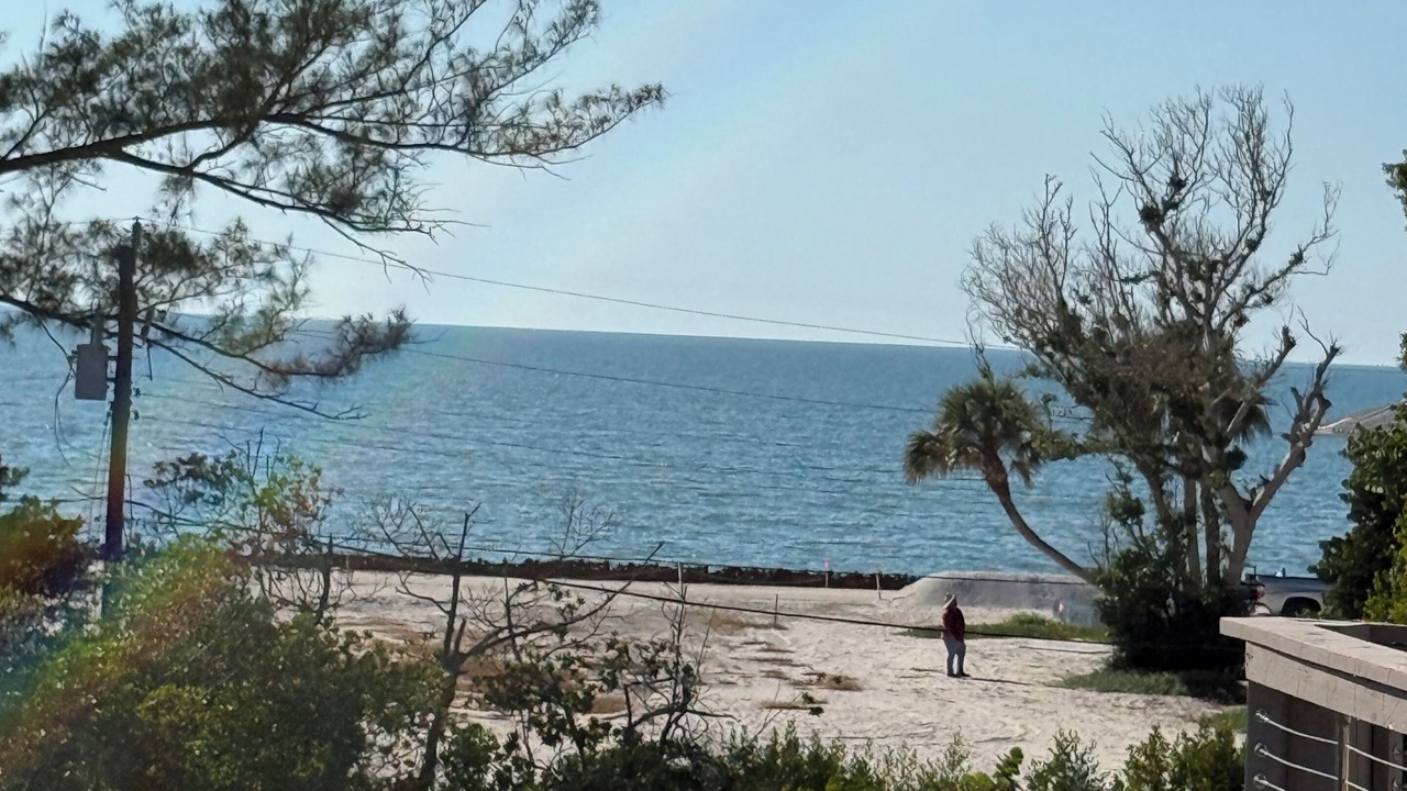 Photo of Others in Siesta Key