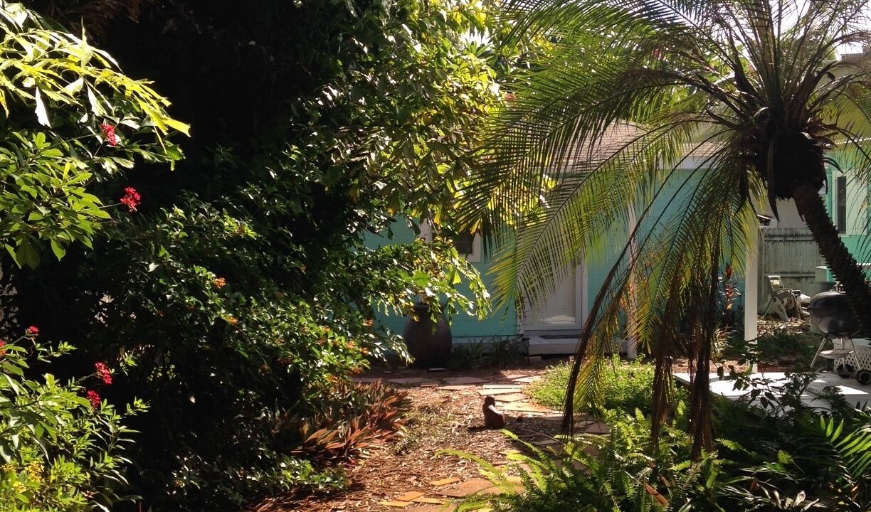 Photo of Outdoor in St. Petersburg