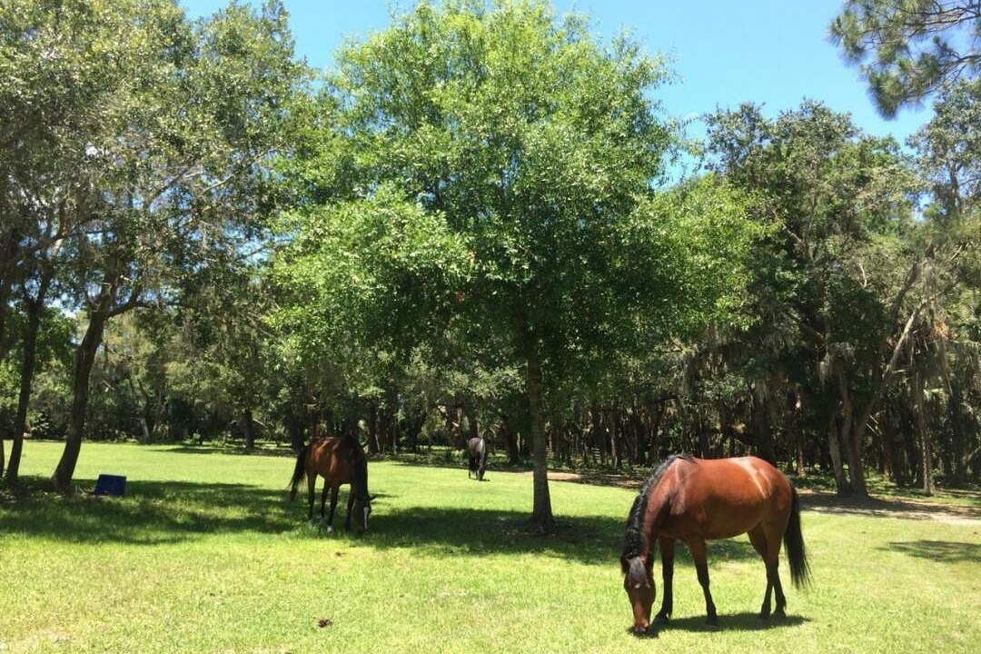 Photo of Others in Sarasota