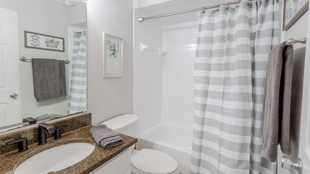 Photo of Bathroom in Dunedin