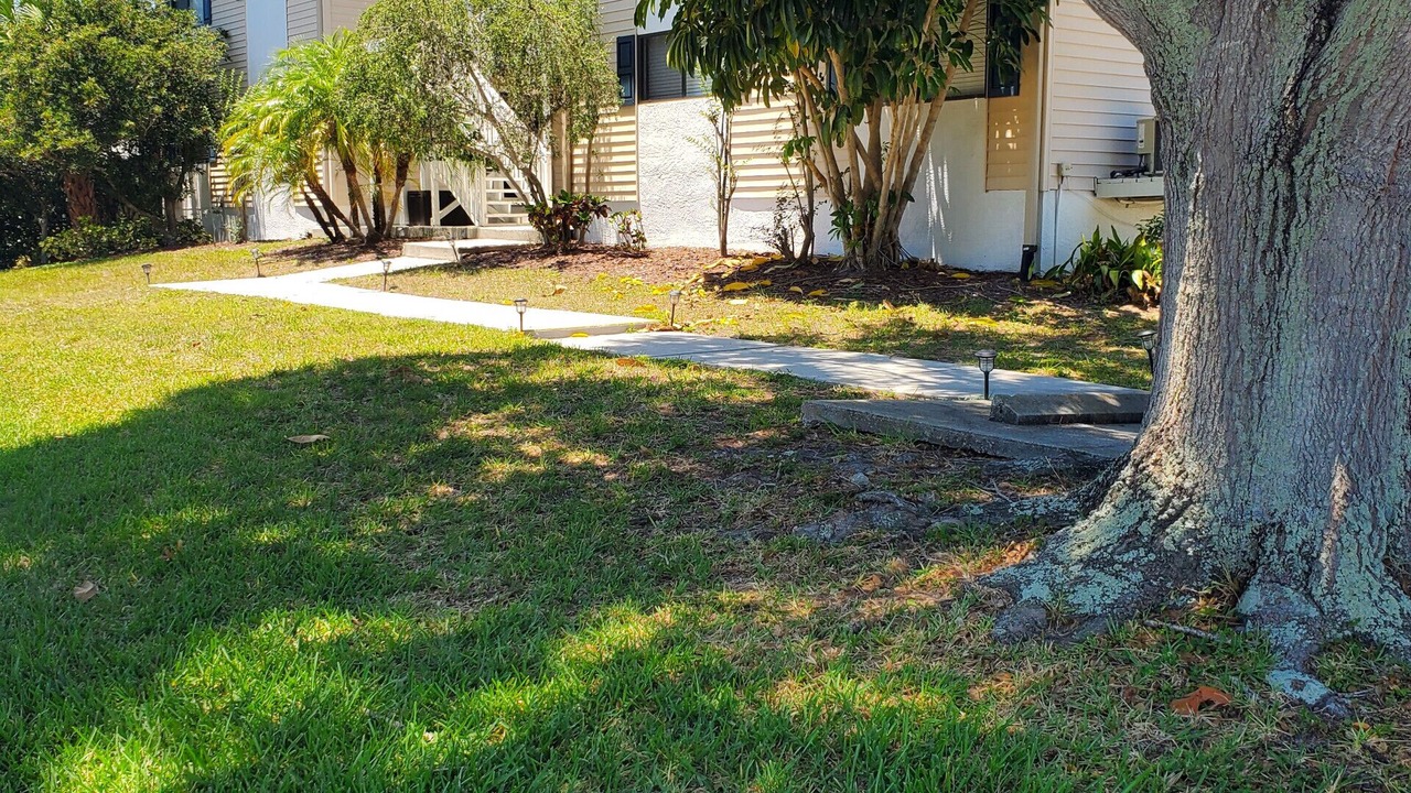 Photo of Outdoor in Dunedin