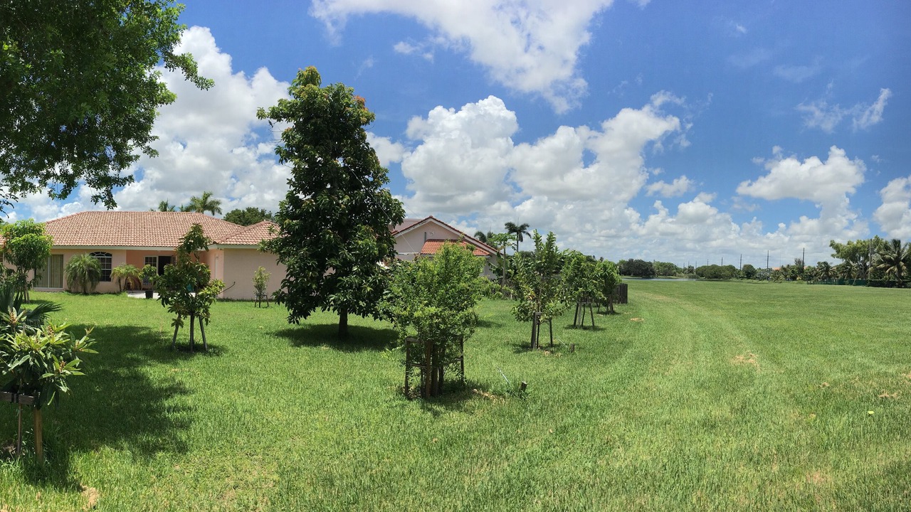 Photo of Others in Homestead