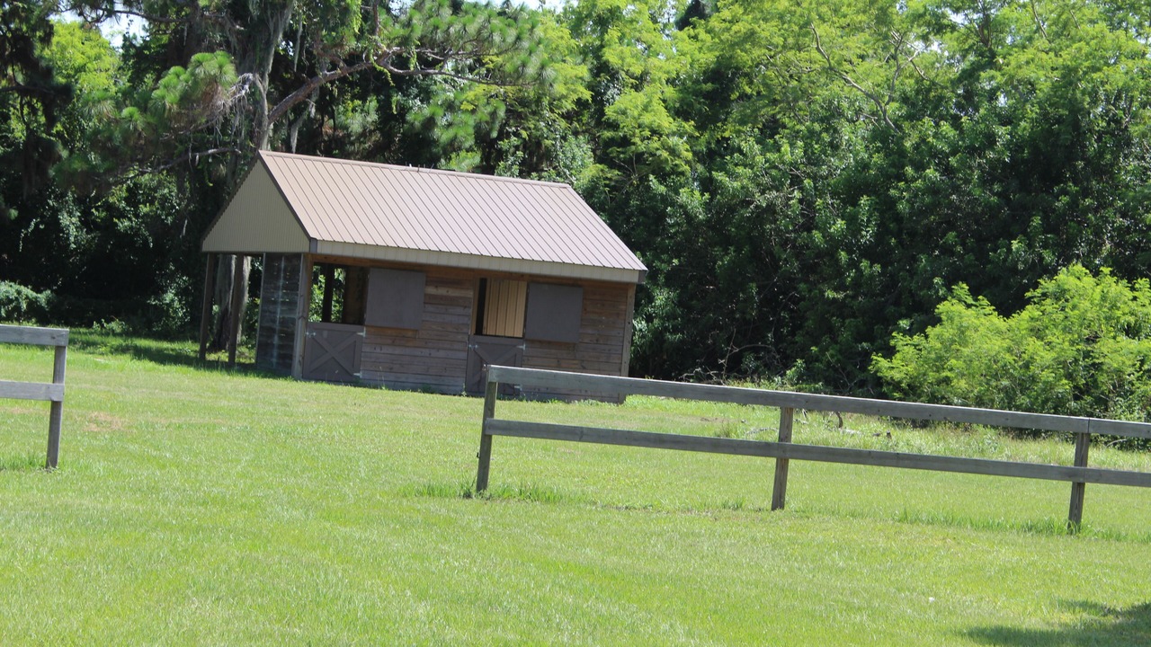 Photo of Outdoor in Tropic