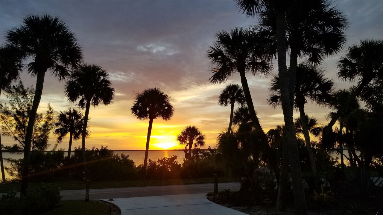Photo of Outdoor in Indian River Estates