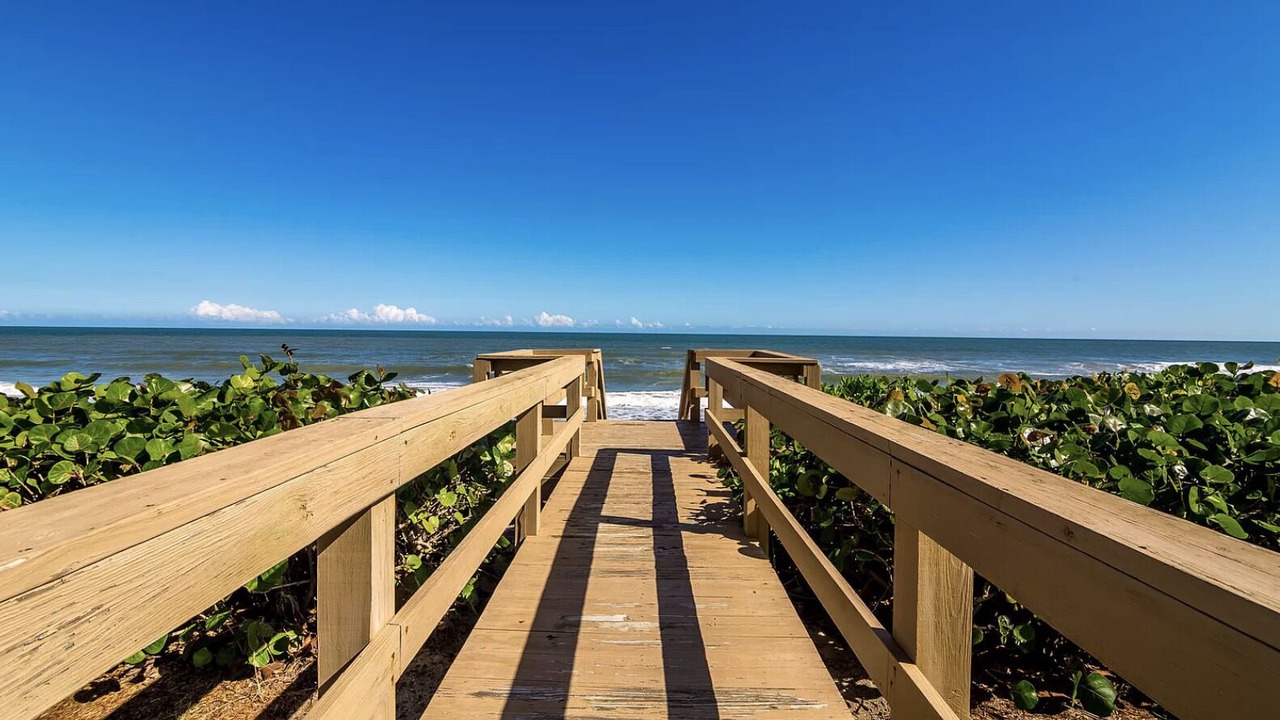 Photo of Outdoor in Canova Beach