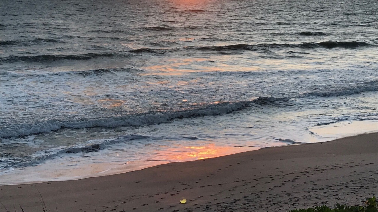 Photo of Others in Canova Beach