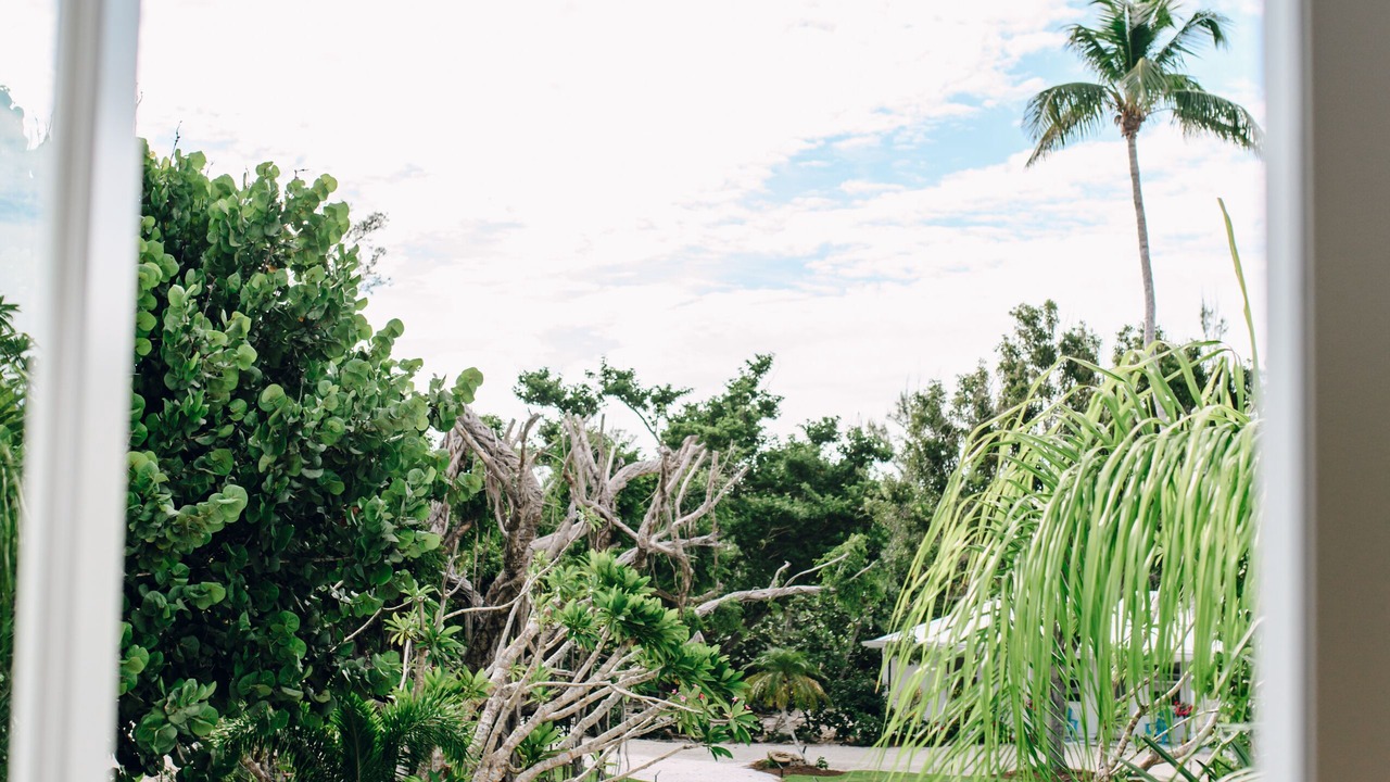 Photo of Others in Captiva