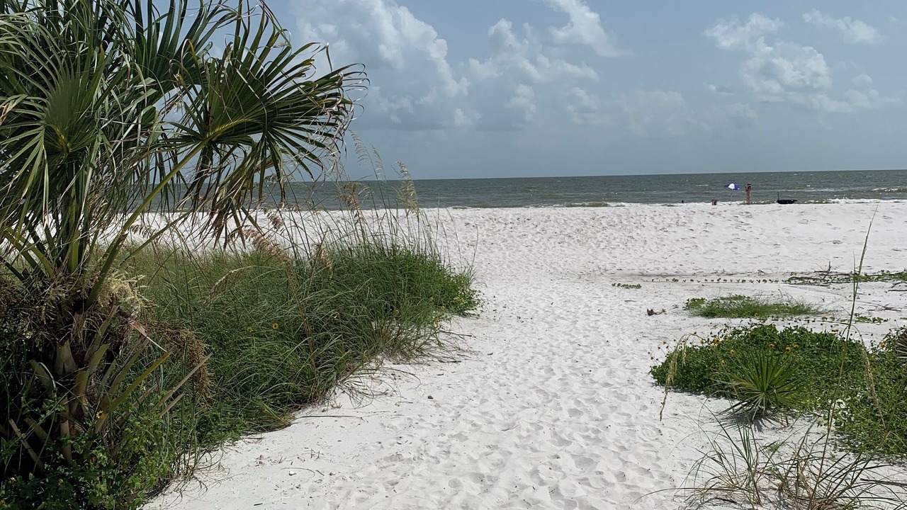 Photo of Others in Fort Myers Beach
