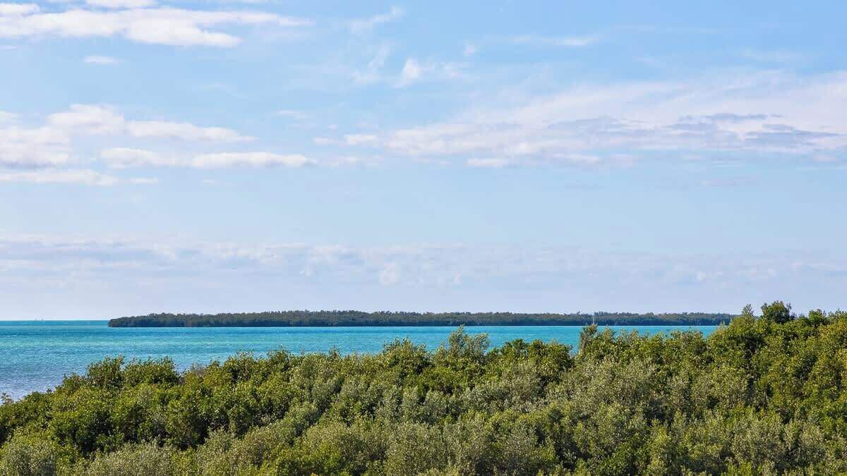 Photo of Others in Tavernier
