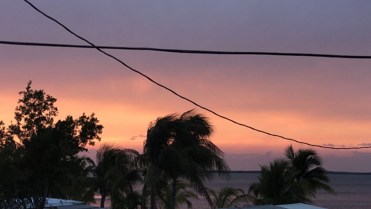 Photo of Others in Key Largo Village