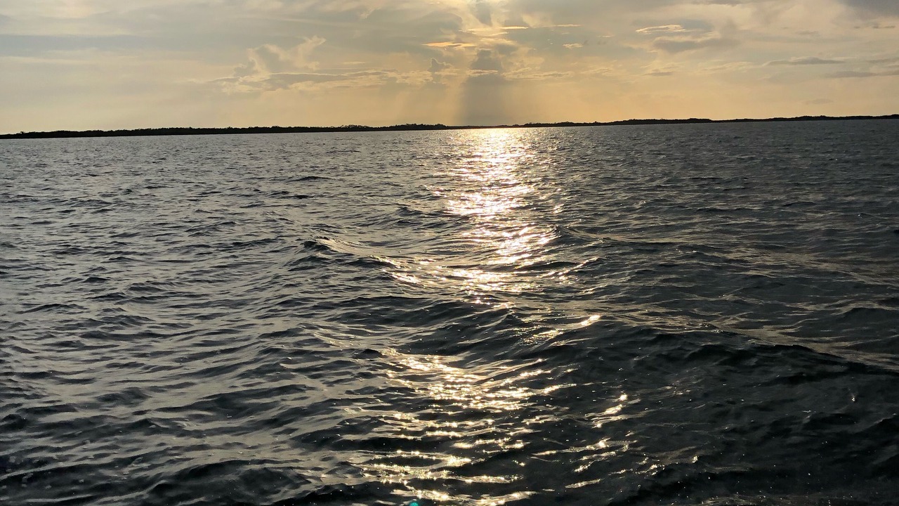 Photo of Others in Key Largo Village