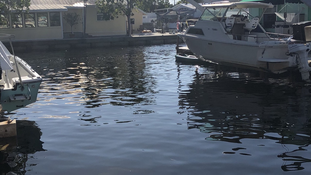 Photo of Outdoor in Key Largo Village