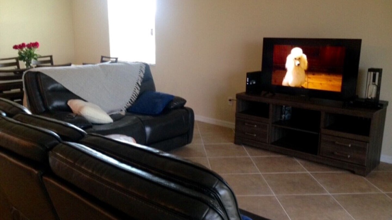 Photo of Livingroom in River Hall