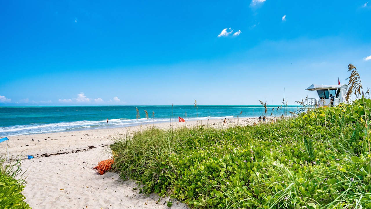 Photo of Others in Lake Worth